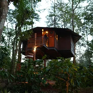 pugmarks-jungle-lodge.kerala-hotels.net/